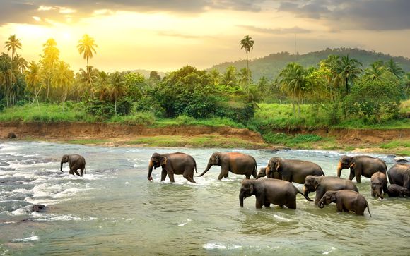 Sri Lanka Tour & Beach Stay 4*