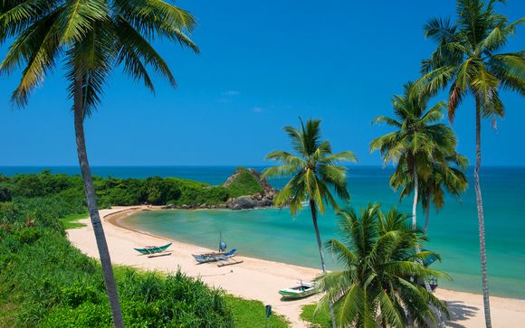 Private Sri Lanka Tour & Shinagawa Beach Hotel 5*
