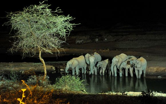 Your Safari Itinerary