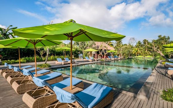 Total Paradise and Balinese Discovery