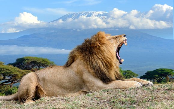 Your Safari Itinerary