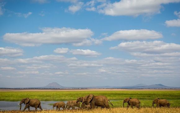 Optional Tanzania Safari