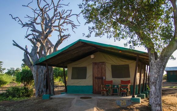 Safari Accommodation