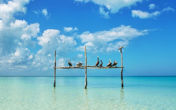 Your Optional Excursions