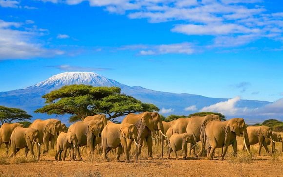 Beachside Dreams and Safari Thrills