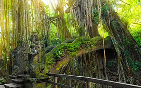 Your Optional Excursions