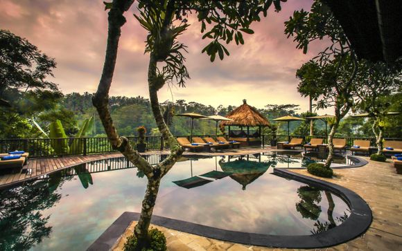 Nandini Jungle Resort & Spa 5*
