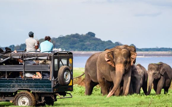 Outstanding Cultural Tour and Blissful Beach Break