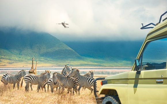 Pensione completa e safari nel più famoso parco del Sudafrica