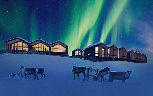 Safari artico con husky, renne e aurora boreale con pensione completa