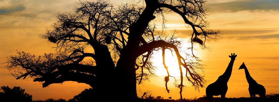 Viajes Africa
