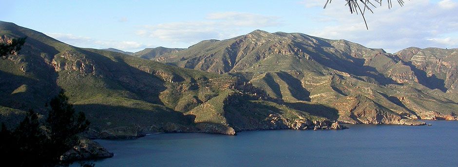 Descubre Murcia con nuestra guía de viajes gratis