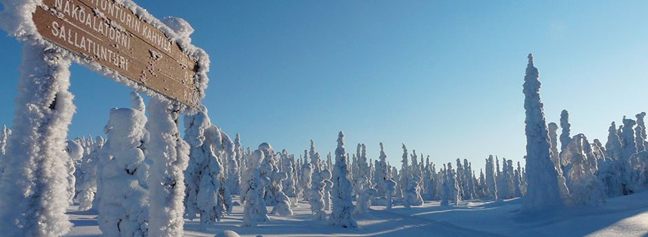 Offerte last minute in Lapponia