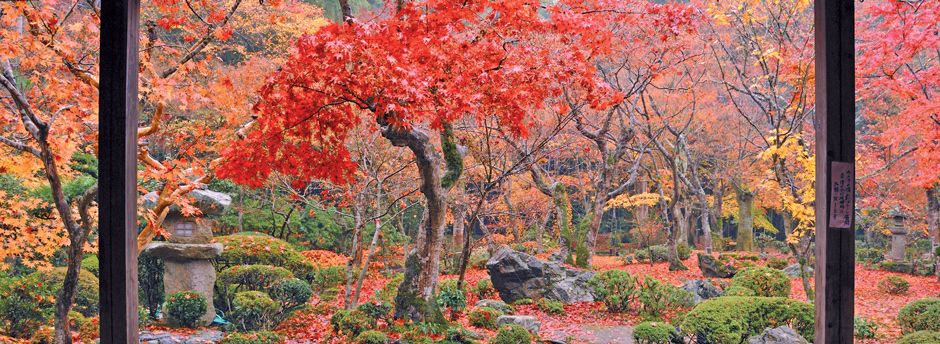 Offerte last minute per Kyoto