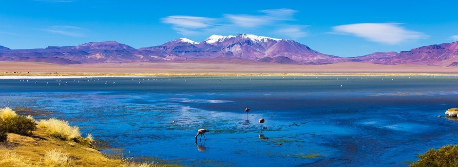 Holidays to Chile